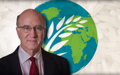 Still Many Unknowns in the World Rice Market