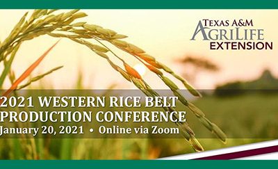 Virtual Texas Western Rice Belt Conference a Success!