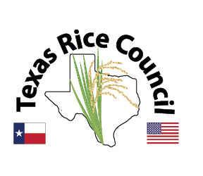 RMTC 2024: Sponsor & Exhibitor Opportunities Now Open to the Public