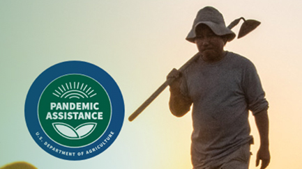 2021.03.24_USDAPressRelease-resized