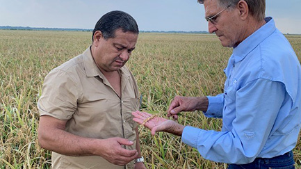 Gabriel-Figuera-Tommy-Turner-resized