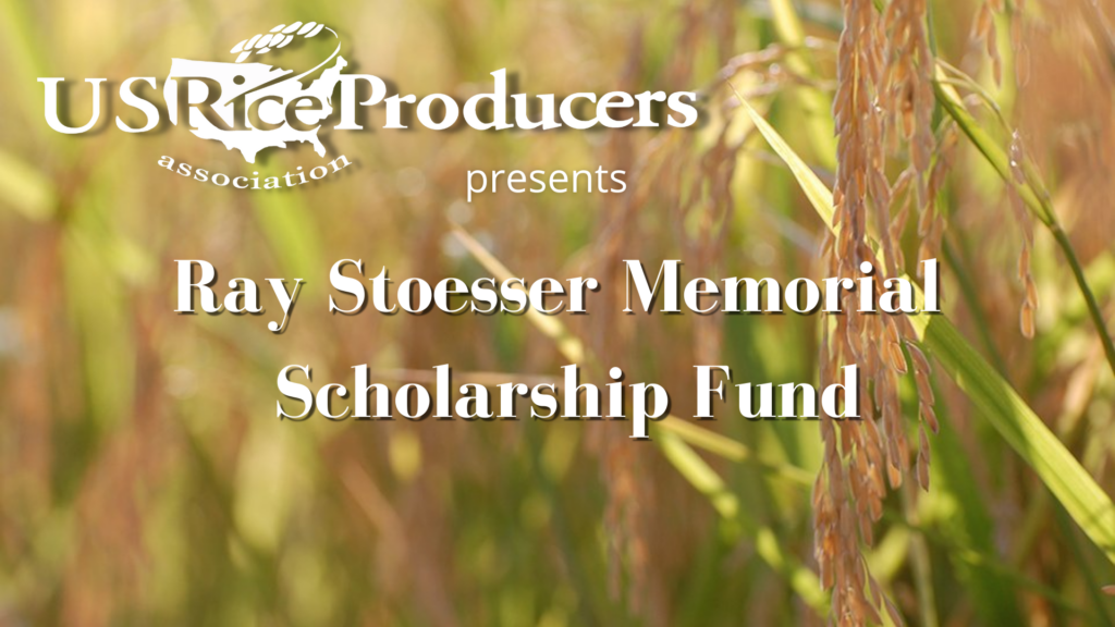 Ray Stoesser Memorial Scholarship Fund