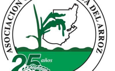 USRPA and ARROZGUA Sustain Momentum in School Lunch Program