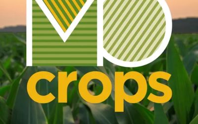 USRPA’s Mollie Buckler Interviewed on the MO Crops Podcast