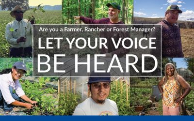 USDA Releases Nationwide Farmer, Rancher, & Forest Manager Prospective Customer Survey