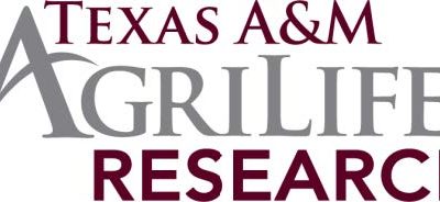 Texas Producers: Participate in Texas A&M AgriLife Research Study
