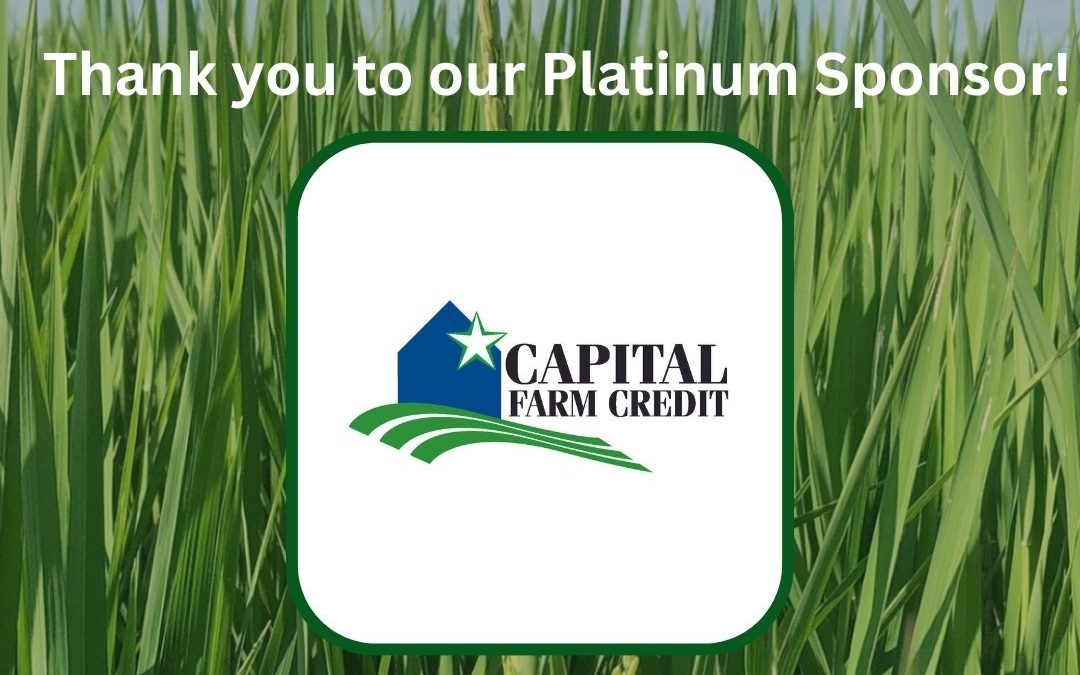 Texas Rice Roundup: Capital Farm Credit Platinum Sponsor