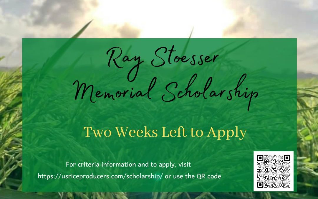 3rd Annual Ray Stoesser Memorial Scholarship: TWO Weeks Left to Apply